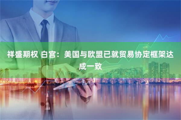 祥盛期权 白宫：美国与欧盟已就贸易协定框架达成一致