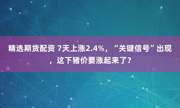 精选期货配资 7天上涨2.4%，“关键信号”出现，这下猪价要涨起来了？